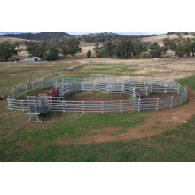 Nice-Looking Galvanized Cattle Panel Good Sale in The Market Xm-04